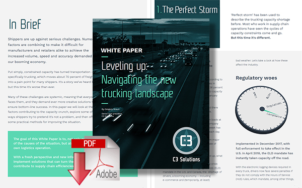 Download Leveling Up: Navigating the New Trucking Landscape