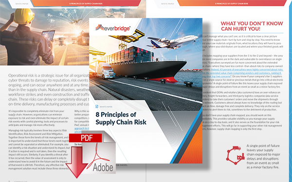 Download: 8 Principles of Supply Chain Risk
